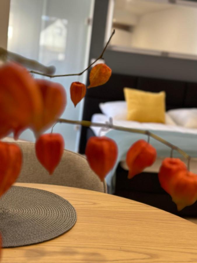 Studio Apartman Kőszeg Eksteriør bilde